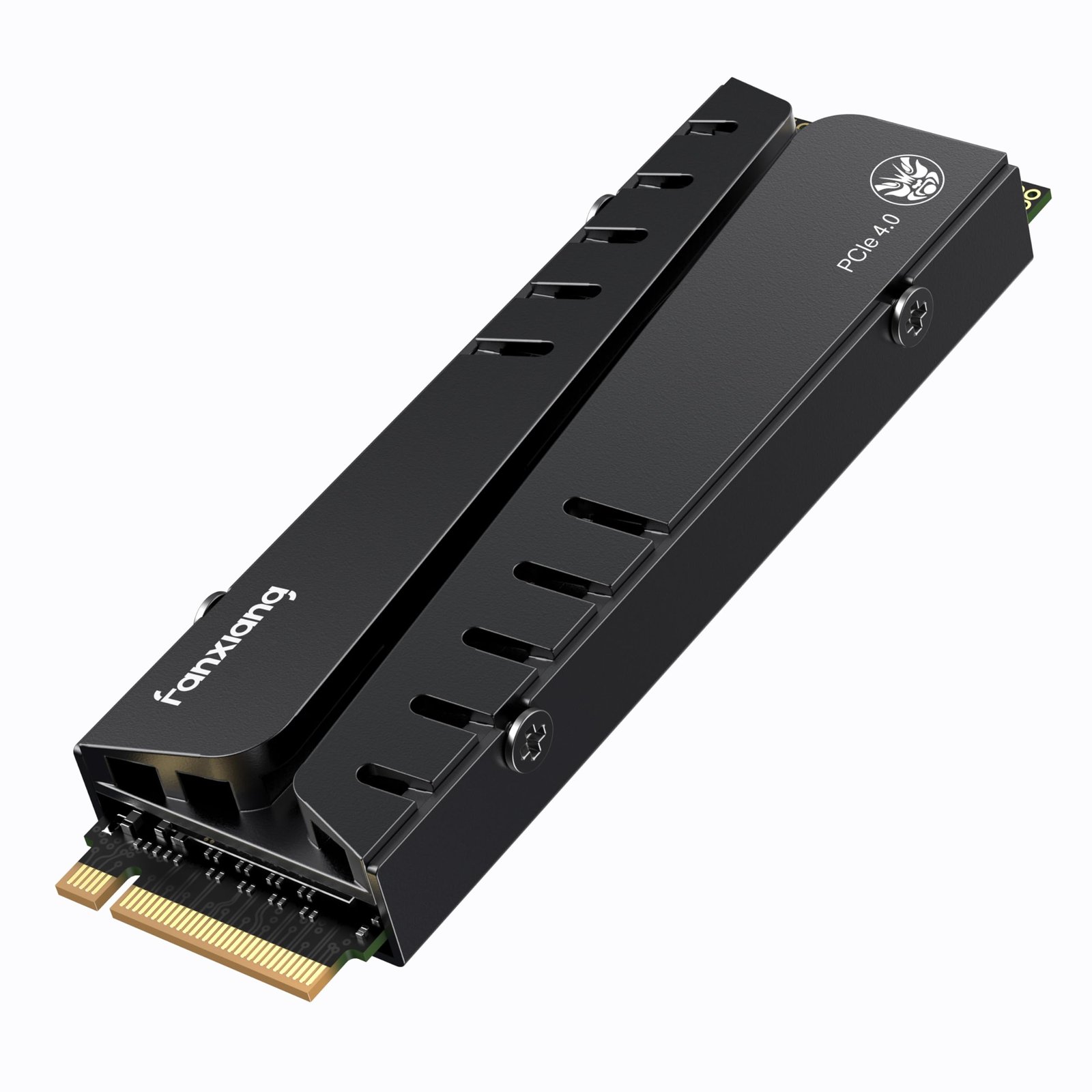 Fanxiang S770 1TB ürün görseli
