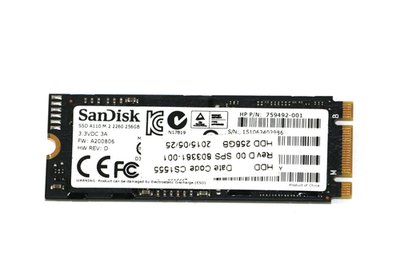 SanDisk A110 256GB product image
