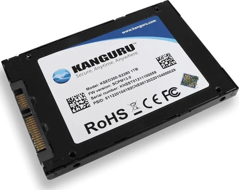 iStorage Kanguru Defender Opal SED300 1TB ürün görseli