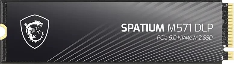 MSI Spatium M571 DLP 4TB ürün görseli