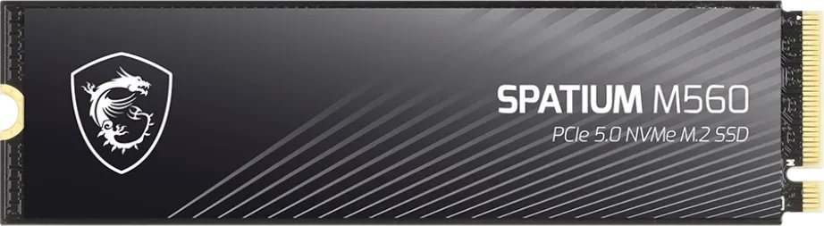 MSI Spatium M560 1TB ürün görseli